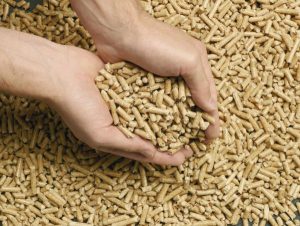 Pellets pour présenter le procédé de bois compresssé