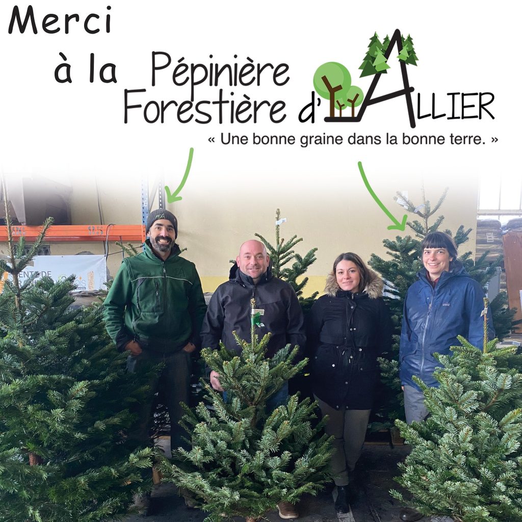 Vente de sapin de Noël